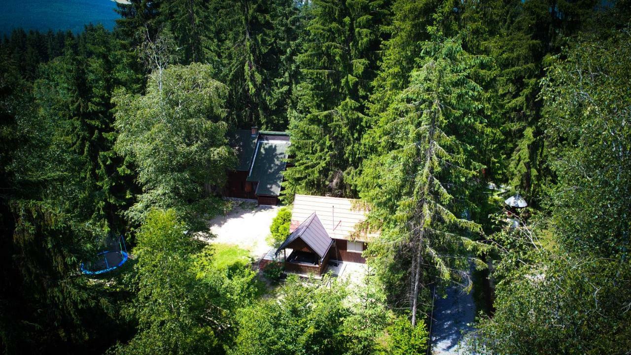 Cabana Adrienne Izvoru Mureşului Exterior foto